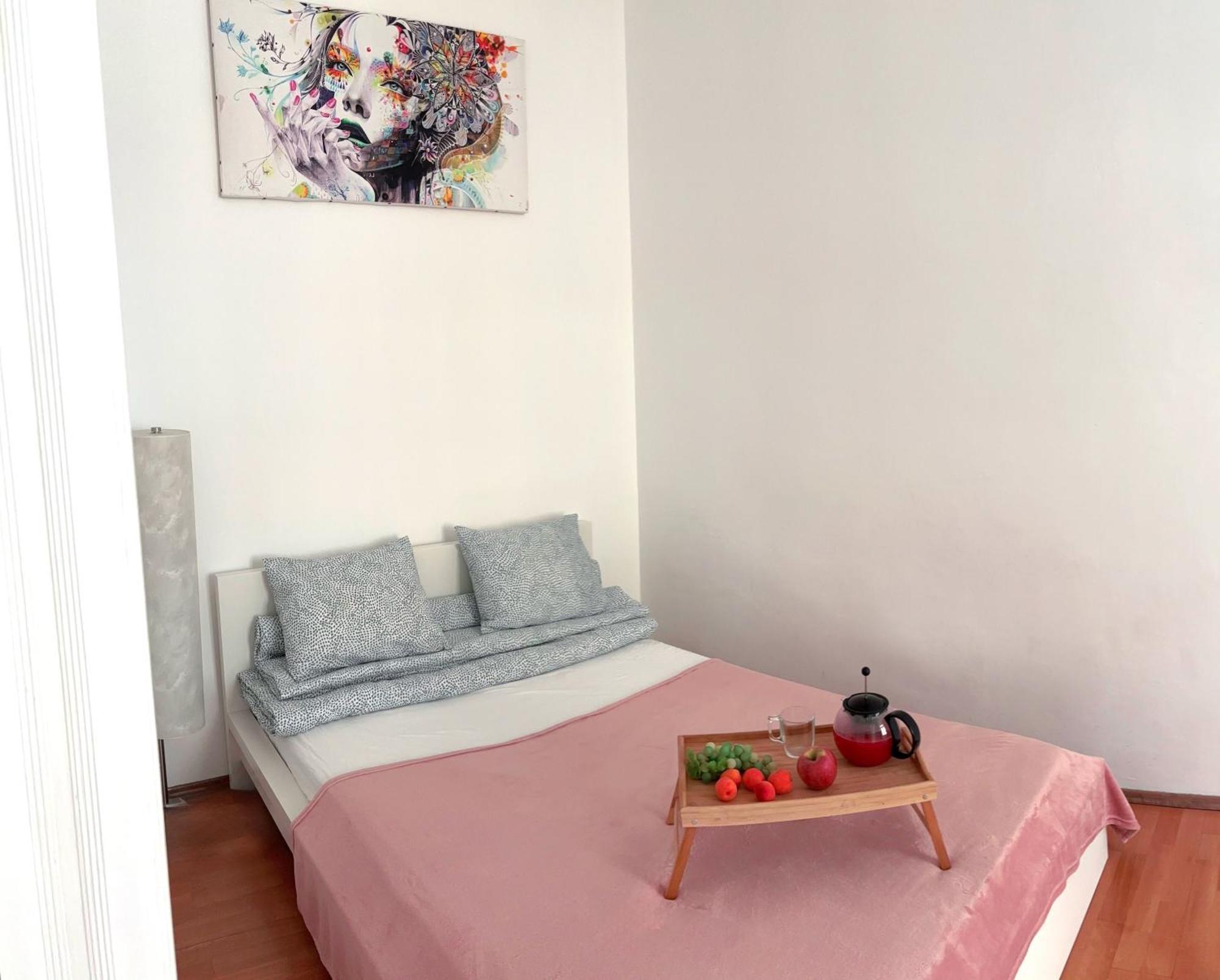 Big And Comfortable Mariahilfer Apartment Viyana Dış mekan fotoğraf